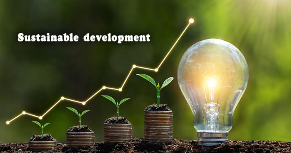 Beyond Profit: Investing in a Creative Sustainable Future